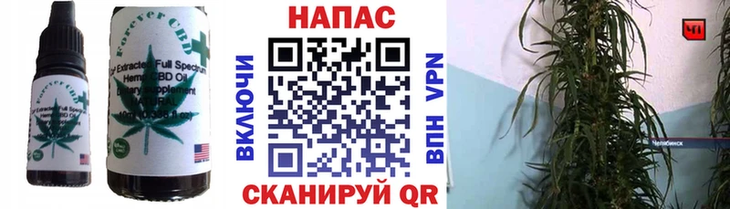 где найти наркотики Жуков Canna-Cookies марихуана