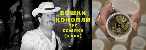 крисы Аша