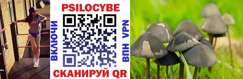 Галлюциногенные грибы GOLDEN TEACHER Жуков