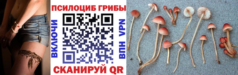Галлюциногенные грибы мухоморы  Жуков 